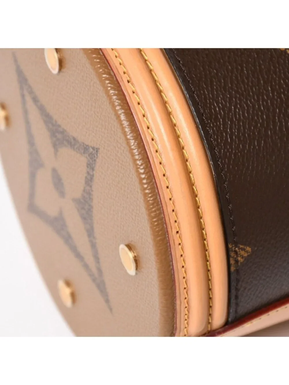 Louis Vuitton Cannes Vanity Monogram Giant Brown Reverse Shoulder Bag